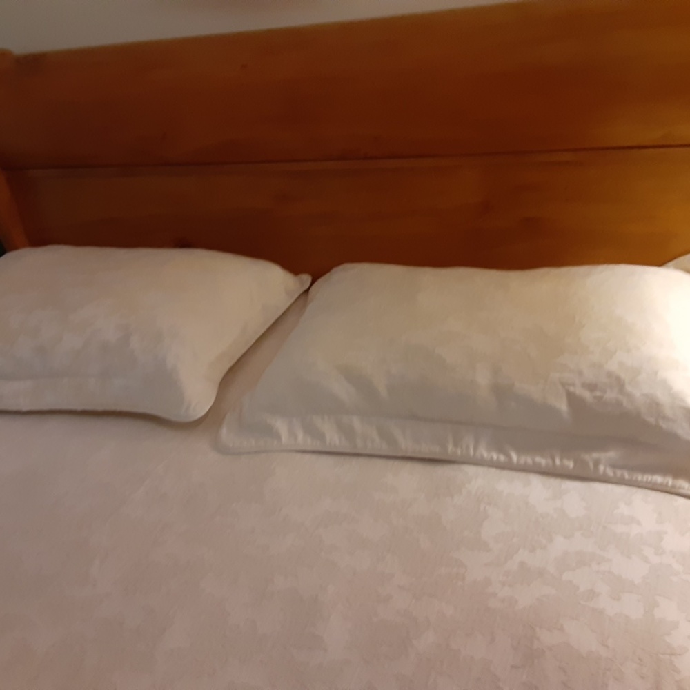 Charter club Brocade Duvet Cover Queen Ivory plus 2 Matching Shams